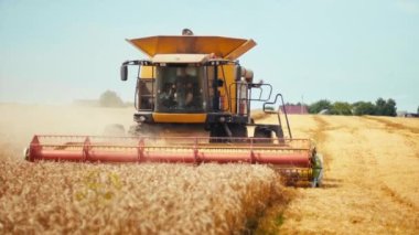 Döner saman yürüteci olgunlaşmış buğday tanelerini keser ve harcar. Hasat başlığıyla hasatçıları birleştiren adam, mısır gevreği toplayan geniş saman yayıcısı. Yazın tarlada tarım makineleri tarafından mahsul toplanması