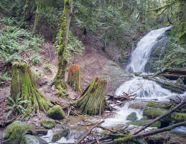 Scenic Far County Falls Com Pedras Samambaias Folhas Vermelhas Limão — Fotografia de Stock