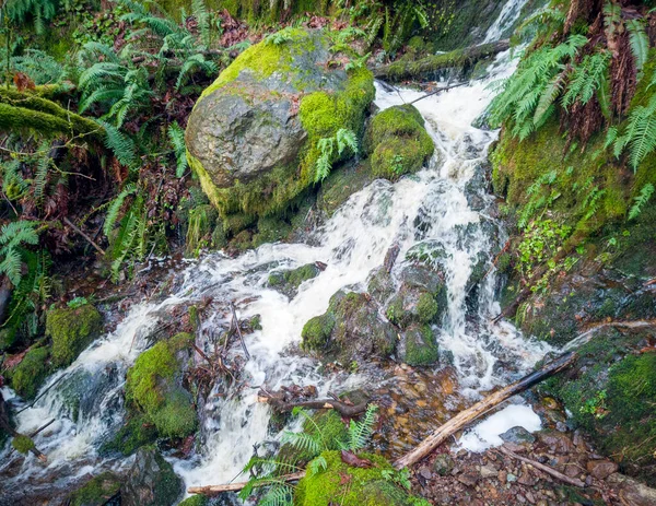 Scénická Far County Falls Balvany Kapradí Červené Listy Vápno Zelený — Stock fotografie