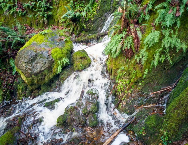 Scenic Far County Falls Com Pedras Samambaias Folhas Vermelhas Limão — Fotografia de Stock