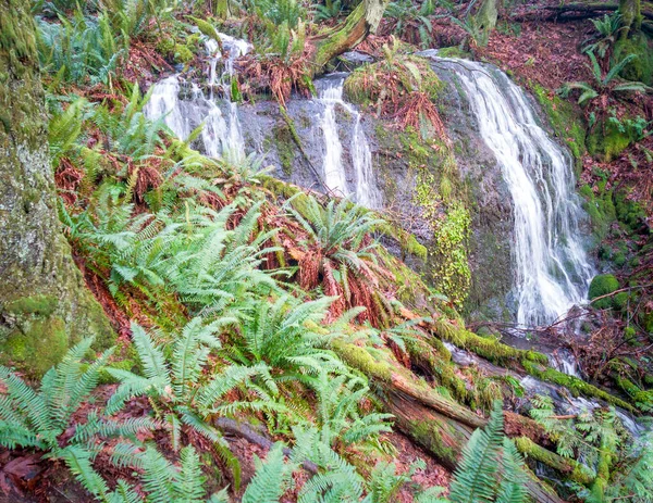 Majestic Doughty Falls Λάμπει Πράσινο Φυτική Ζωή Και Κόκκινα Φύλλα — Φωτογραφία Αρχείου