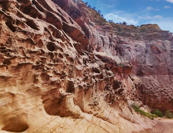 Increíble Acantilado Arenisca Cúpulas Superlativas Con Tumbleweeds Caluroso Día Verano —  Fotos de Stock