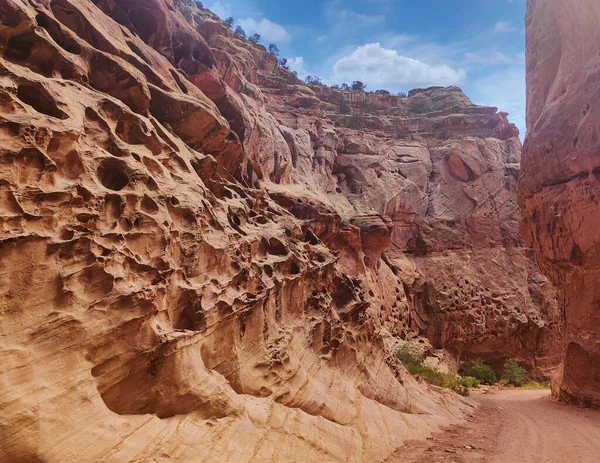 Unbelievable Sandstone Cliff Superlative Domes Tumbleweeds Hot Summer Partly Cloudy — Stock Photo, Image