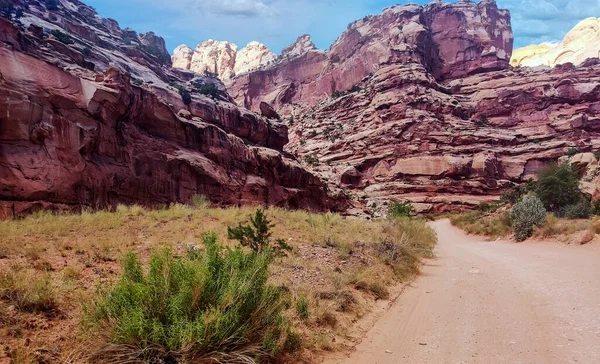 Increíble Acantilado Arenisca Cúpulas Superlativas Con Tumbleweeds Caluroso Día Verano —  Fotos de Stock