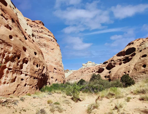 Formations Géographiques Grès Doré Avec Paysage Prairie Désertique Par Une — Photo