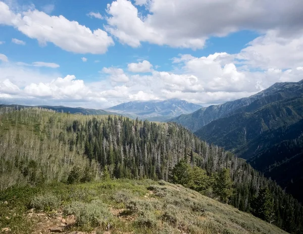 Působivé Výhledy Vrchol Hory Uintského Národního Lesa Utahu — Stock fotografie