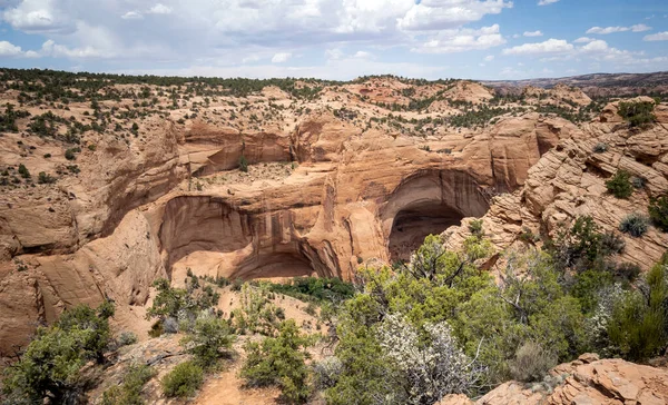 Forntida Klippa Bostad Och Häftiga Raviner Vid Navajo National Monument — Stockfoto