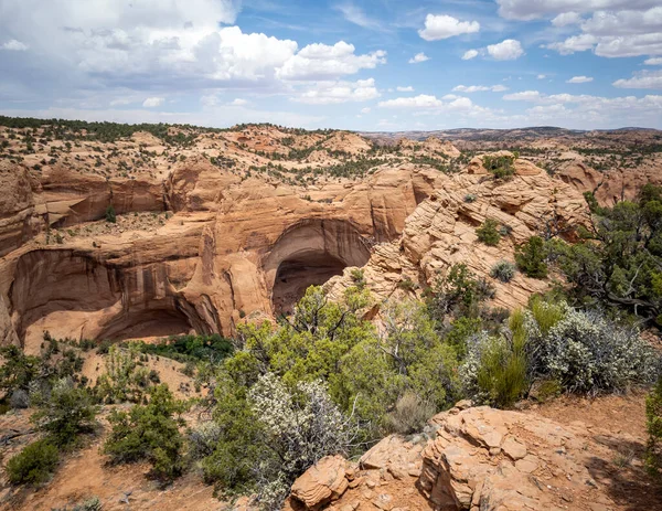 Antigua Morada Acantilados Cañones Impresionantes Monumento Nacional Navajo Las Afueras —  Fotos de Stock