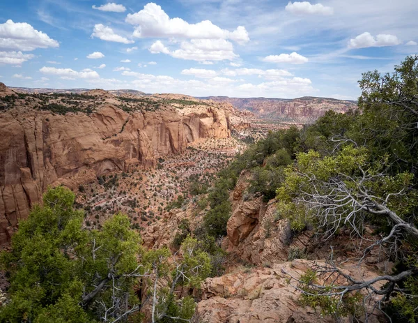 Antigua Morada Acantilados Cañones Impresionantes Monumento Nacional Navajo Las Afueras —  Fotos de Stock