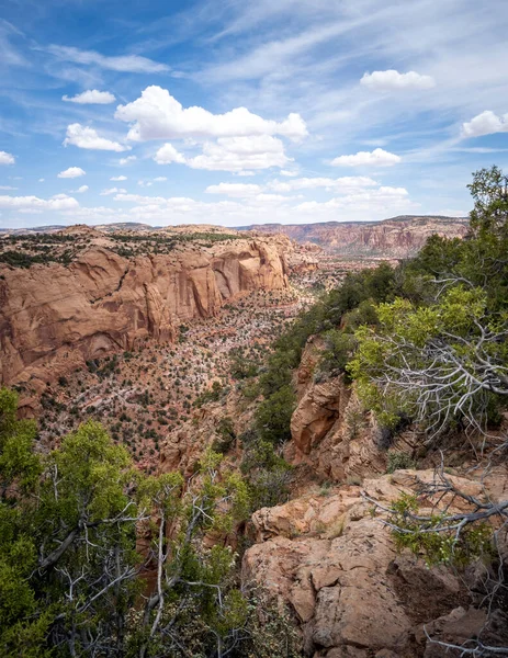 Antigua Morada Acantilados Cañones Impresionantes Monumento Nacional Navajo Las Afueras —  Fotos de Stock