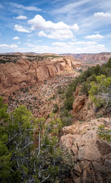 Antigua Morada Acantilados Cañones Impresionantes Monumento Nacional Navajo Las Afueras —  Fotos de Stock