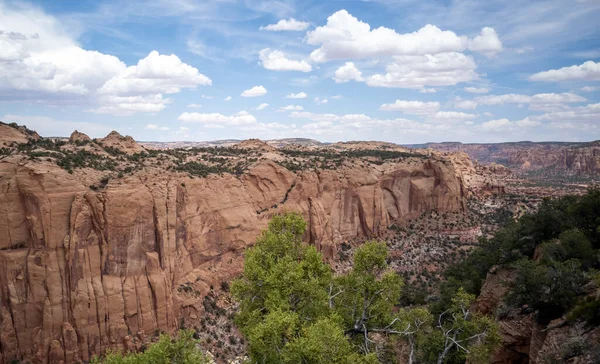 Forntida Klippa Bostad Och Häftiga Raviner Vid Navajo National Monument — Stockfoto