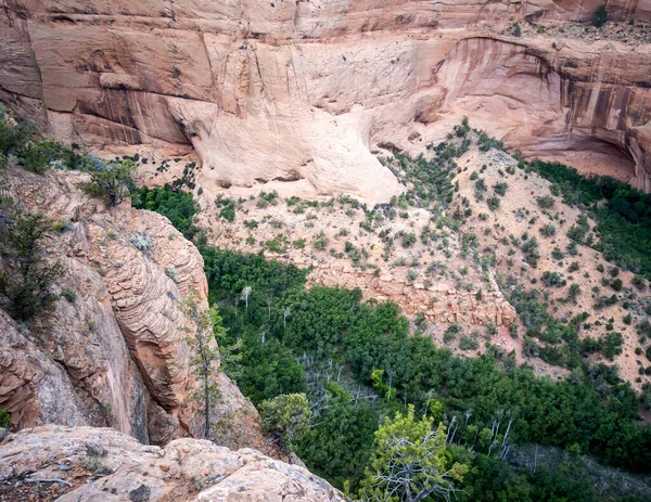 Ancienne Falaise Canyons Impressionnants Monument National Navajo Dehors Kayenta Arizona — Photo