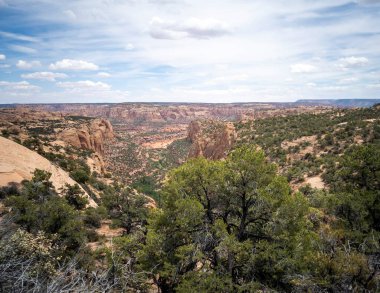 Kayenta Arizona 'nın dışındaki Navajo Ulusal Anıtı' nda antik uçurum konutları ve muhteşem kanyonlar