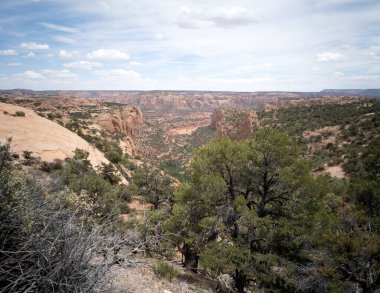 Kayenta Arizona 'nın dışındaki Navajo Ulusal Anıtı' nda antik uçurum konutları ve muhteşem kanyonlar