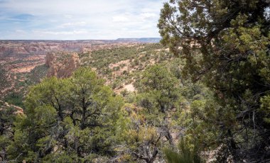 Kayenta Arizona 'nın dışındaki Navajo Ulusal Anıtı' nda antik uçurum konutları ve muhteşem kanyonlar