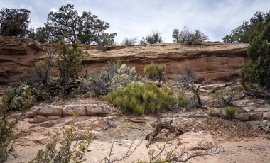 Kayenta Arizona 'nın dışındaki Navajo Ulusal Anıtı' nda antik uçurum konutları ve muhteşem kanyonlar