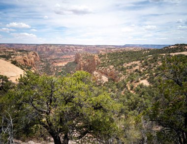 Kayenta Arizona 'nın dışındaki Navajo Ulusal Anıtı' nda antik uçurum konutları ve muhteşem kanyonlar