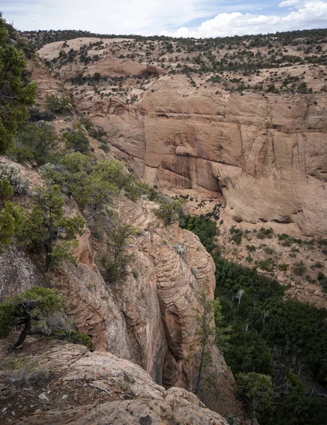 Forntida Klippa Bostad Och Häftiga Raviner Vid Navajo National Monument — Stockfoto