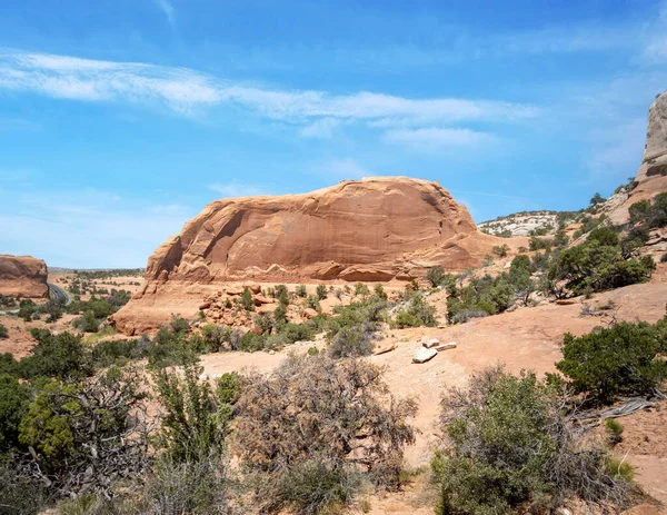 Sorprendente Wilson Arch Trail Paisaje Semidesértico Moab Utah Durante Verano —  Fotos de Stock