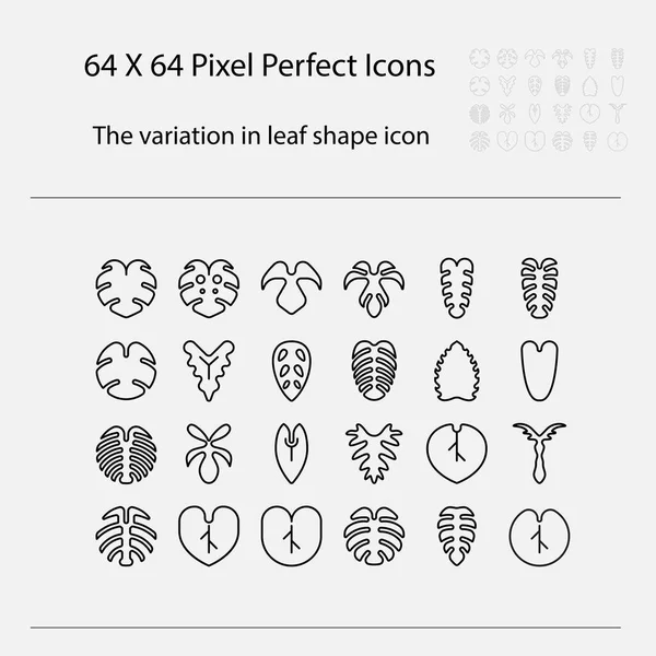 Variation Leaf Shape Icon Variation Leaves Vector Outline Icon — Vetor de Stock