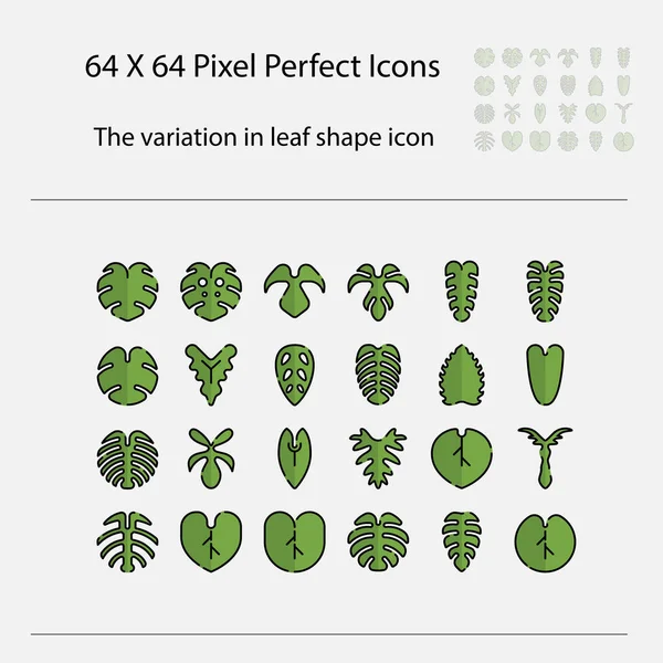 Variation Leaf Shape Icon Variation Leaves Vector Filled Outline Icon — Stock Vector