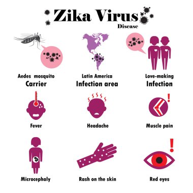 Zika virüs Infographic. Vektör düz tasarımı.