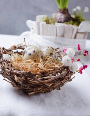 Bahar çiçekleri, yumurtalar ve yuvalı Paskalya kompozisyonu. Kopya alanı ile Paskalya kavramı.