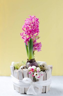 Bahar çiçekleri, yumurtalar ve yuvalı Paskalya kompozisyonu. Kopya alanı ile Paskalya kavramı.