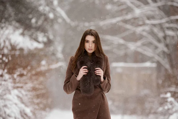 Menina Bonita Casaco Peles Caminhe Parque Inverno — Fotografia de Stock