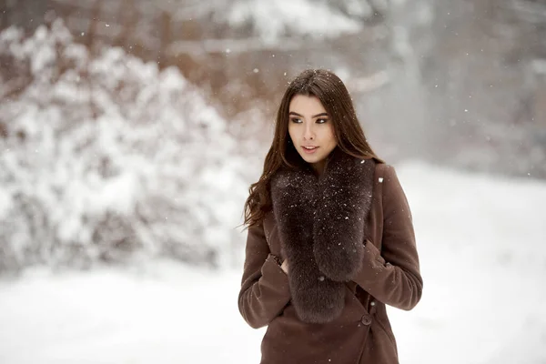 Όμορφο Κορίτσι Γούνα Περπατήστε Στο Πάρκο Χειμώνα — Φωτογραφία Αρχείου