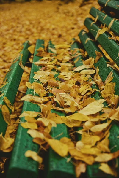 공원에 나뭇잎으로 사이드 클로즈업 가을의 수직적 — 스톡 사진