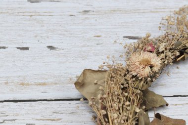Kurumuş kır çiçeklerini kapatın.