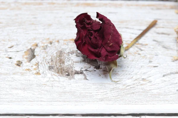 dried rose on light wood, minimalistic background