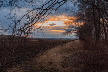 Tarlanın üzerinde gün batımı