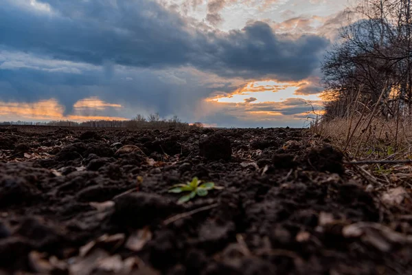 Západ Slunce Nad Oraným Polem — Stock fotografie