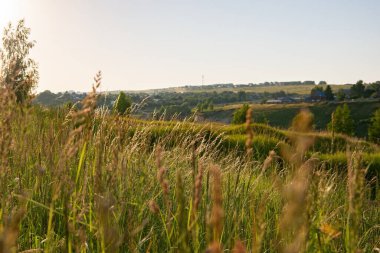 Yazın bir tepede otlar köyün arka planında