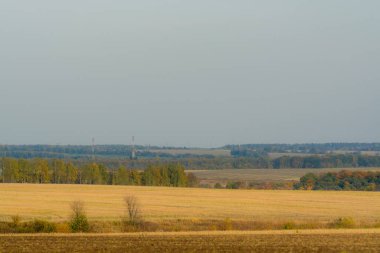 Tarla ve ormanların manzarası