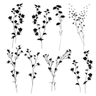 Büyük set siluetleri botanik çiçekli çiçek elementleri. Dallar, yapraklar, bitkiler, yabani bitkiler, çiçekler..
