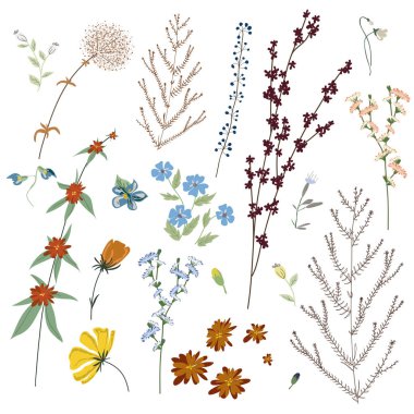 Büyük set botanik çiçekli elementler. Dallar, yapraklar, otlar, yabani bitkiler, beyaz arka planda izole edilmiş çiçekler