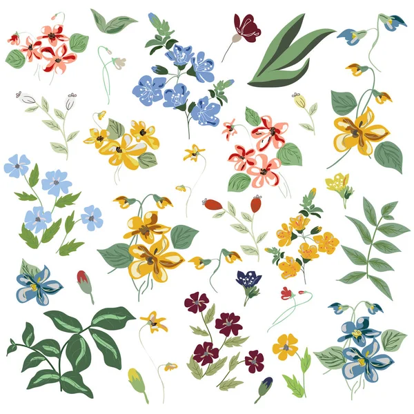 Gran conjunto botánico flor elementos florales. Ramas, hojas, hierbas, plantas silvestres, flores aisladas sobre fondo blanco — Vector de stock