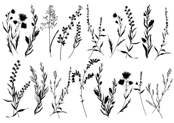 Big set silhouette fiori botanici elementi floreali. Rami, foglie, erbe, piante selvatiche, fiori — Vettoriale Stock