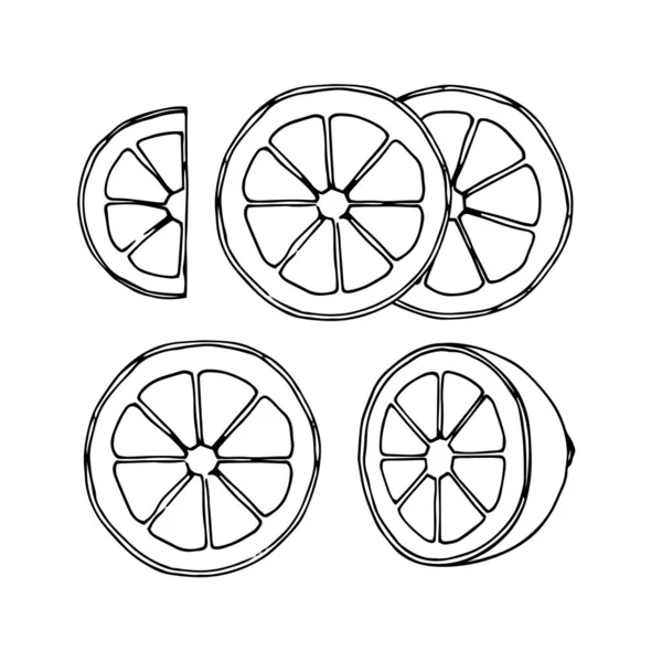 Fatias Limão Elementos Decorativos Simples Ícones Ilustração Vetorial Com Linhas —  Vetores de Stock