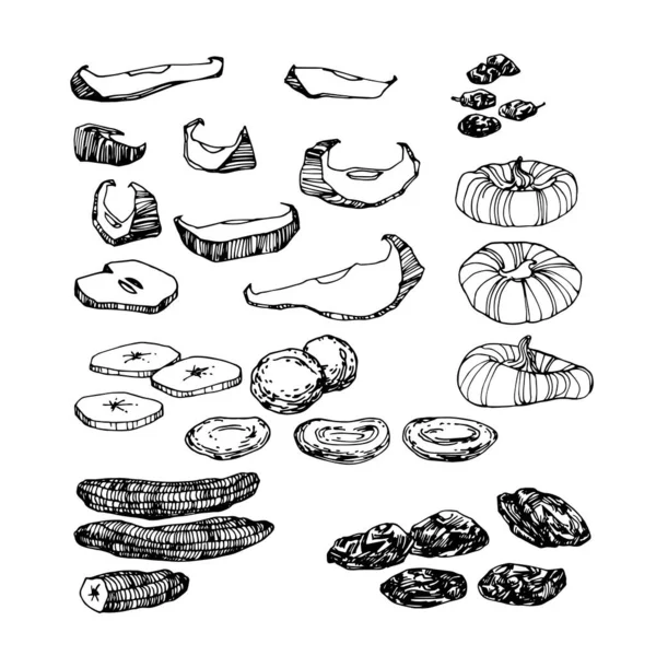 Conjunto Frutas Secas Plátanos Higos Ciruelas Pasas Pasas Para Menú — Vector de stock