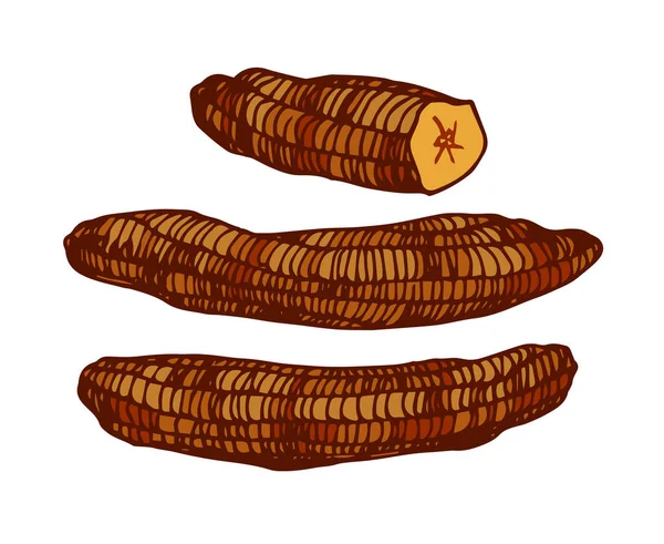 Bananas Secas Marrons Comida Deliciosa Frutas Doces Sobremesa Ilustração Vetorial — Vetor de Stock