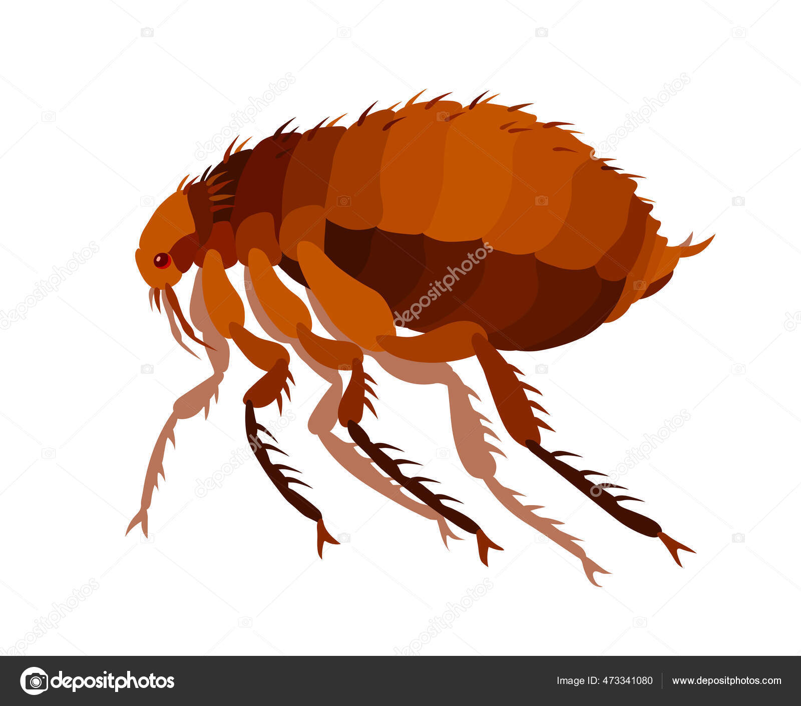 Um desenho animado de uma pequena formiga laranja com olhos grandes está em  um fundo azul escuro.