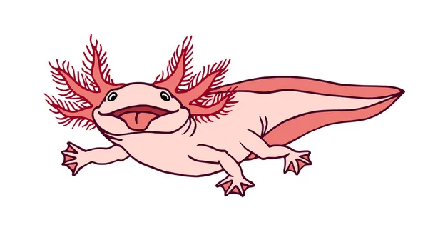 Kırmızı Solungaçlı Sevimli Komik Axolotl Pembe Dil Amfibi Hayvan Akvaryum — Stok Vektör