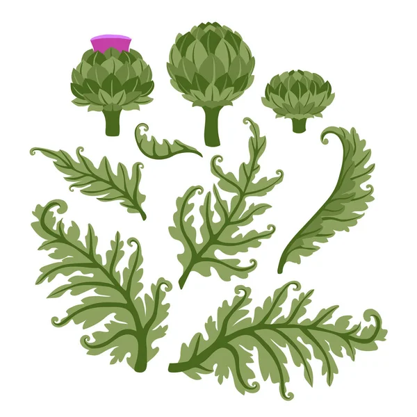Set Artichoke Flowers Green Leaves Floral Decorative Elements Pattern Ornament — Stock Vector
