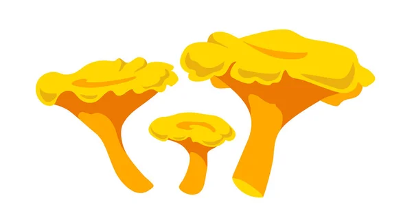 Set Forest Edible Mushrooms Yellow Decorative Chanterelles Delicious Food Color — Stock Vector