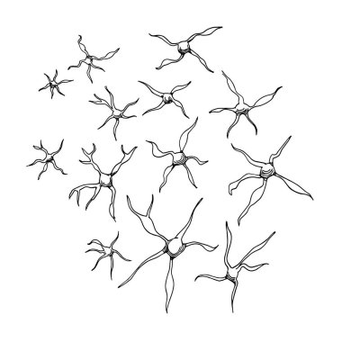 bir dizi nöron, beyin hücreleri, mikroskobik cisimler, siyah çizgili vektör çizgileri karalama ve el çizimi tarzında beyaz bir arkaplanda izole edilmiş.